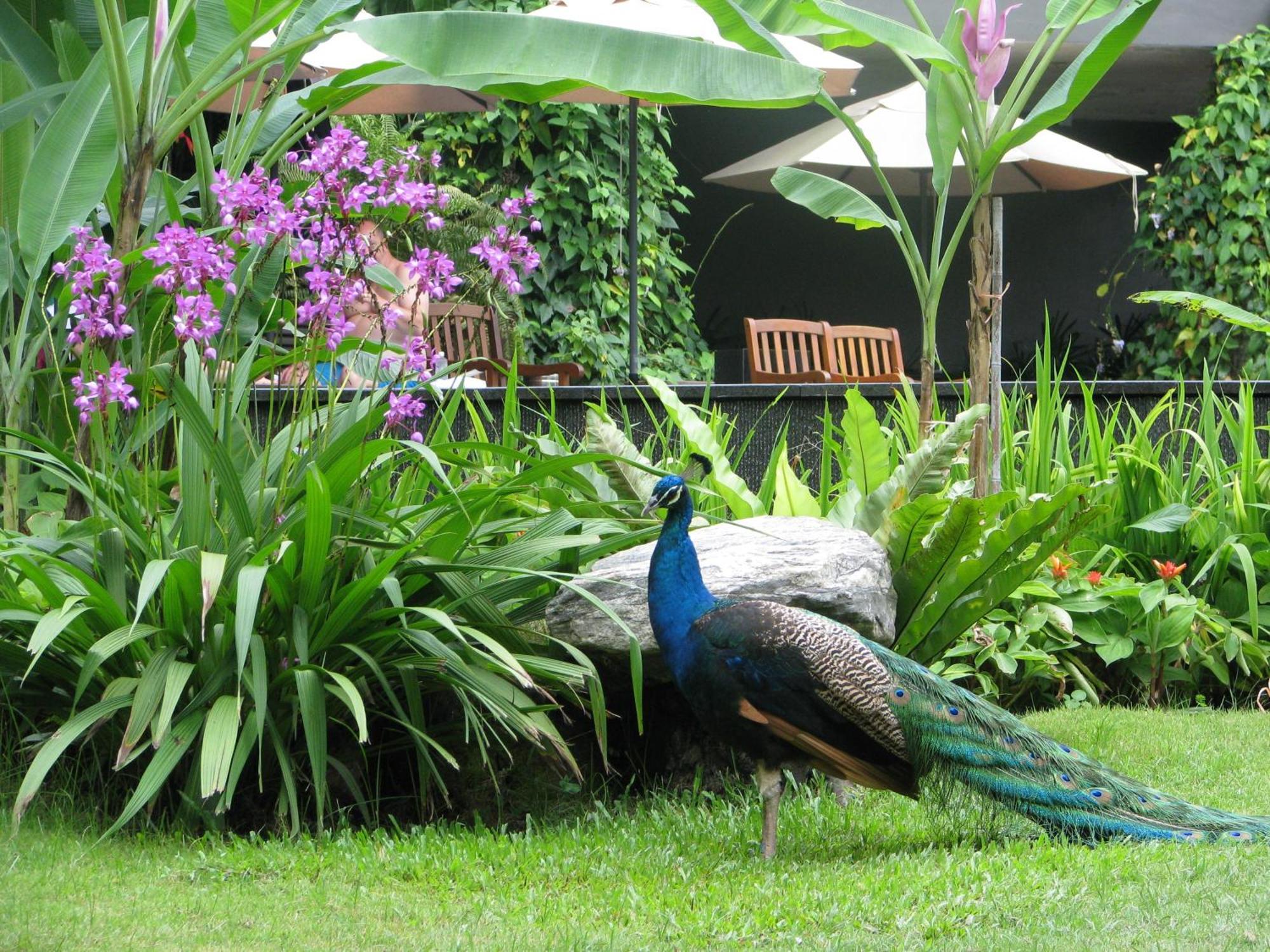 Tempat peranginan Siloso - Sentosa 4*