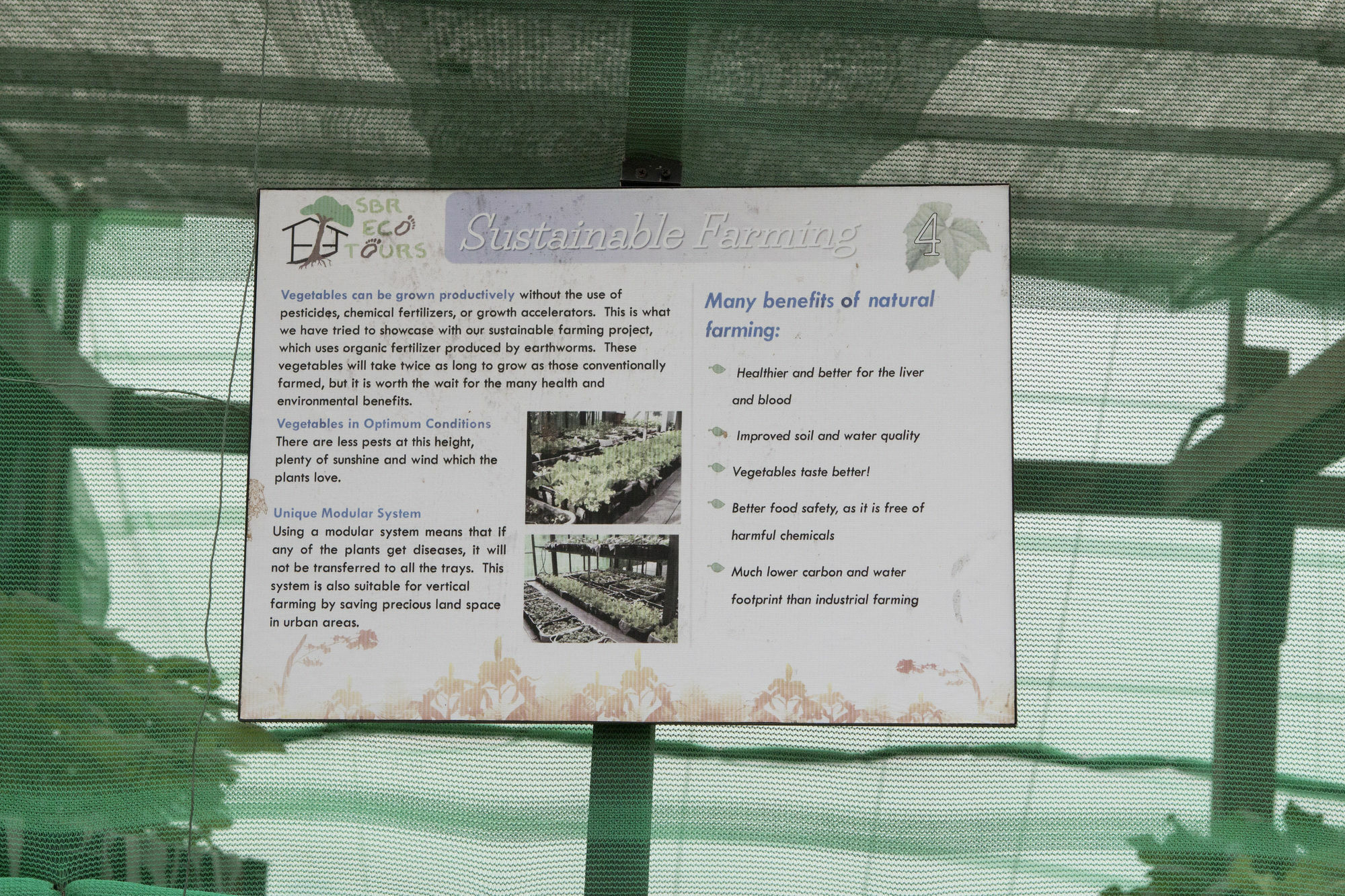 Siloso - Sentosa Tempat peranginan Singapura